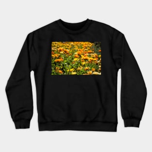 Flower Fields Crewneck Sweatshirt